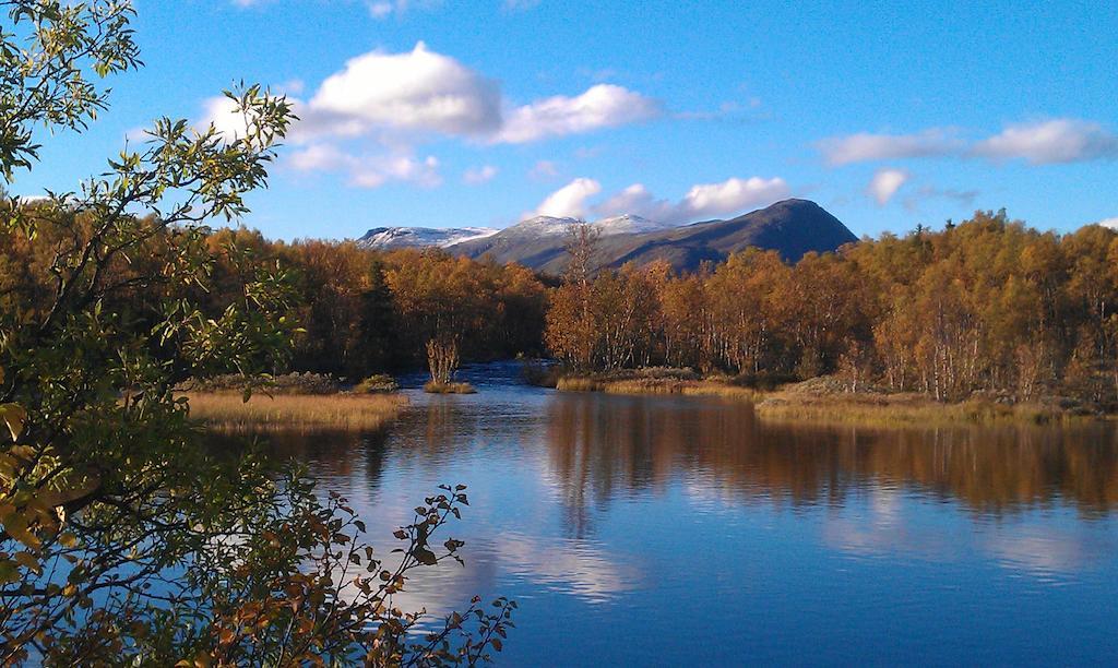 Leilighet Valdres Naturlegvis