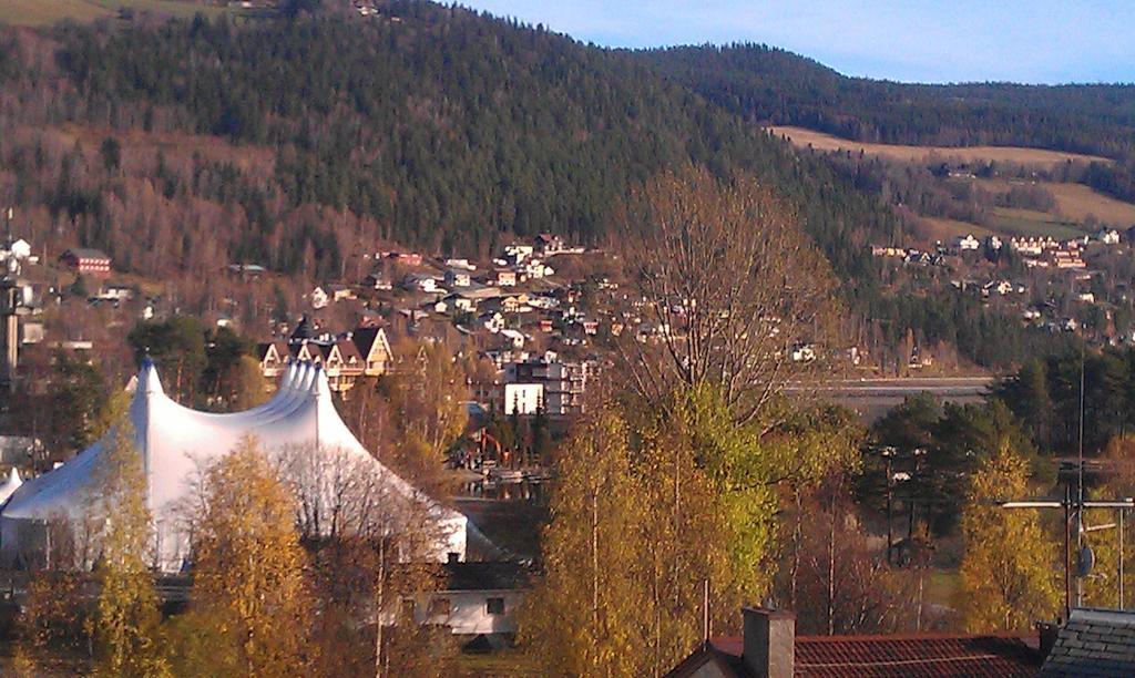 Valdres Naturlegvis